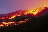 etna_8361.jpg