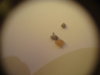 DSC01375.JPG