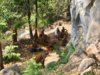 Monk in front of a cave.jpg