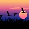 pngtree-flying-birds-in-sunset-image_320428.jpg
