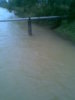 คลองบางม่วง.jpg