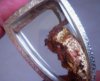 DSCN8737.JPG