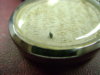 DSC00003.JPG