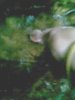 ภาพ053.jpg