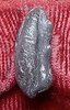 20250428_111513.jpg