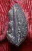 20250428_111534.jpg