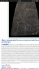 IMG_4117.png