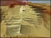thumbnail_20250502_051456.jpg