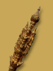 20250505_121013 (1).png