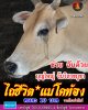FB_IMG_1746446481072.jpg