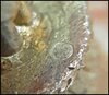 thumbnail_20250504_011350.jpg