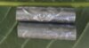 494359519-1077396937585885-7191191452016207624-n.jpg
