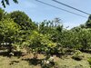 IMG_1939.jpeg
