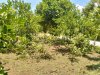 IMG_1941.jpeg
