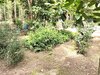 IMG_2084.jpeg