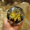 Photo_1747061407673.png