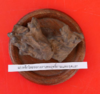 0799FDBE-3439-4FE8-870F-7D239A1AF853.png