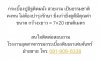 21203384-3.jpg