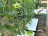 IMG_3268.jpeg