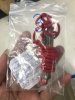 IMG_5162.jpeg