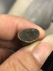 IMG_5238.jpeg