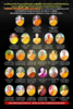 4BAFC01C-744E-434E-B3B2-A58E4E11504E.png