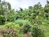IMG_3600.jpeg