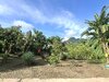 IMG_3601.jpeg
