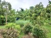 IMG_3600.jpeg