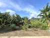 IMG_3601.jpeg