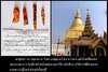 ตะปู.jpg