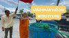 FB_IMG_1748180212794.jpg