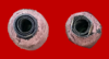 upload_2025-5-29_9-46-22.png