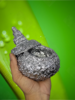 Photo_1748526720038.png