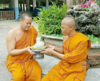 8B92518D-0D9A-471C-BD76-7D0BCFCF7F67.png