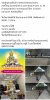 FB_IMG_1748869969100.jpg
