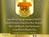 IMG_7436.jpeg