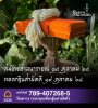 FB_IMG_1750524249404.jpg
