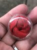 IMG_7192.jpeg