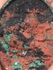 IMG_7242.jpeg