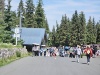 95.jpg