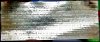 thumbnail_20250627_064407.jpg