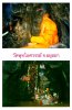 FB_IMG_1751163183643.jpg