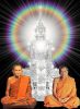 75FD45D0-B819-4FEF-80A4-C6FC69215660.png