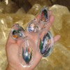 Photo_1751451377281.png