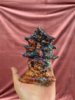 Photo_1751504045126.png