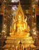 5B330FFF-E1AA-4E73-B969-73C569AC81AB.png