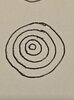 515136297_10063743110342186_1988713342740852220_n.jpg
