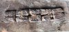 IMG_0578.jpeg