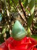 FB_IMG_1751986342720.jpg